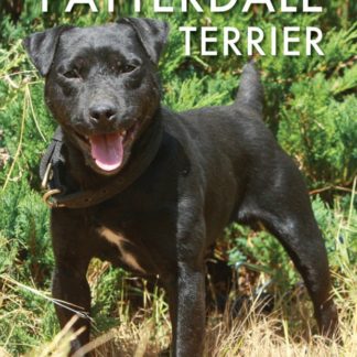 The Patterdale Terrier