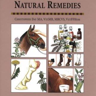 Natural Remedies for Common Ailments