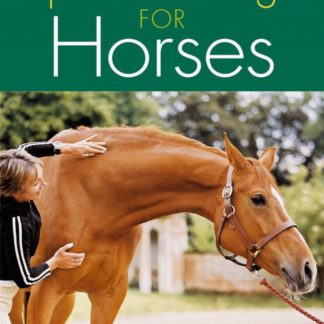 Sports Massage for Horses