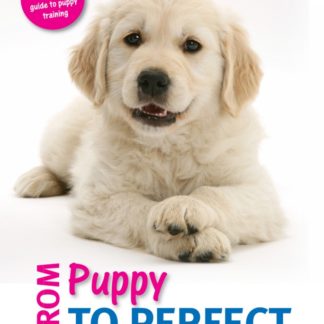 From Puppy to Perfect