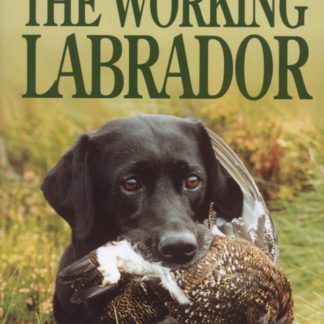 The Working Labrador