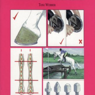 Feet and Shoes