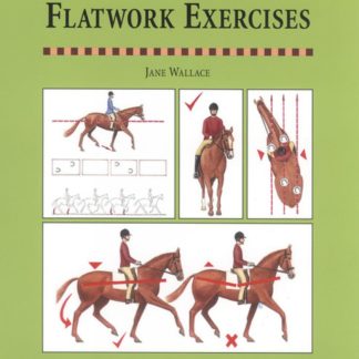 Flatwork Exercises