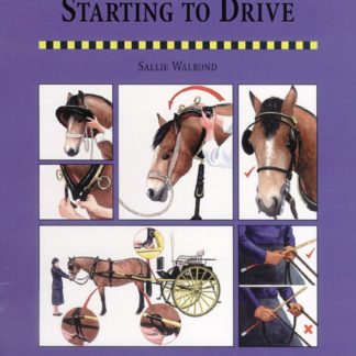 Starting to Drive