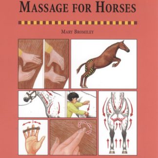 Massage for Horses