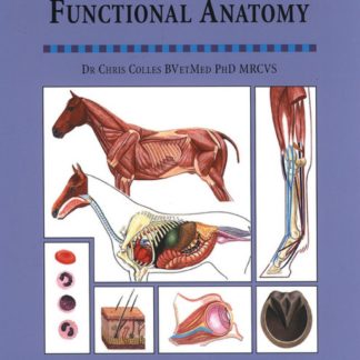 Functional Anatomy