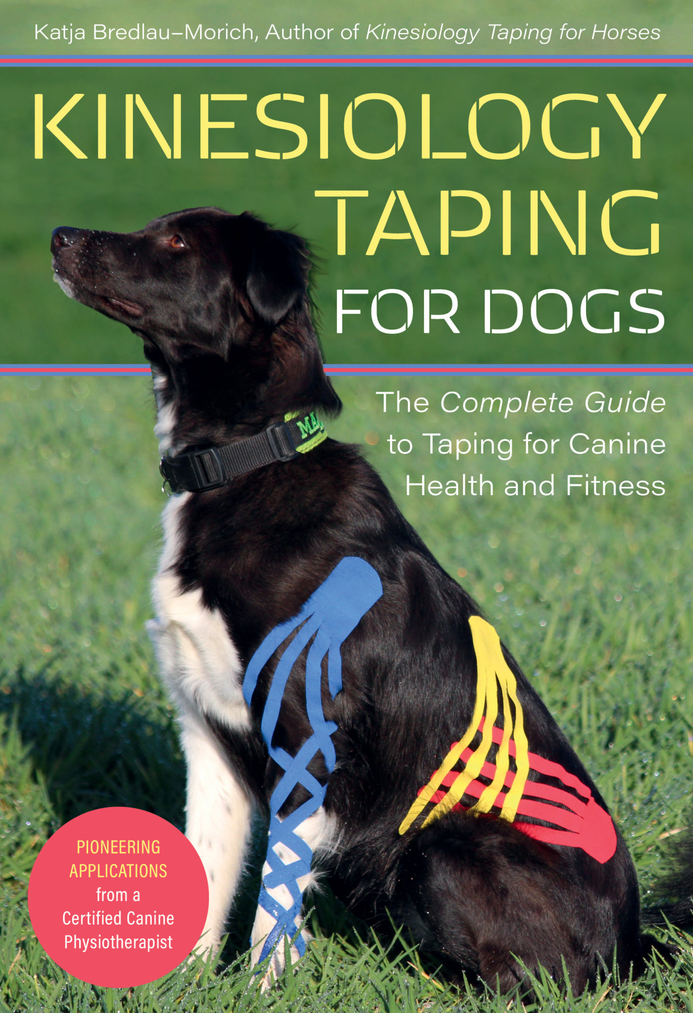 Kinesiology Taping for Dogs Quiller Publishing