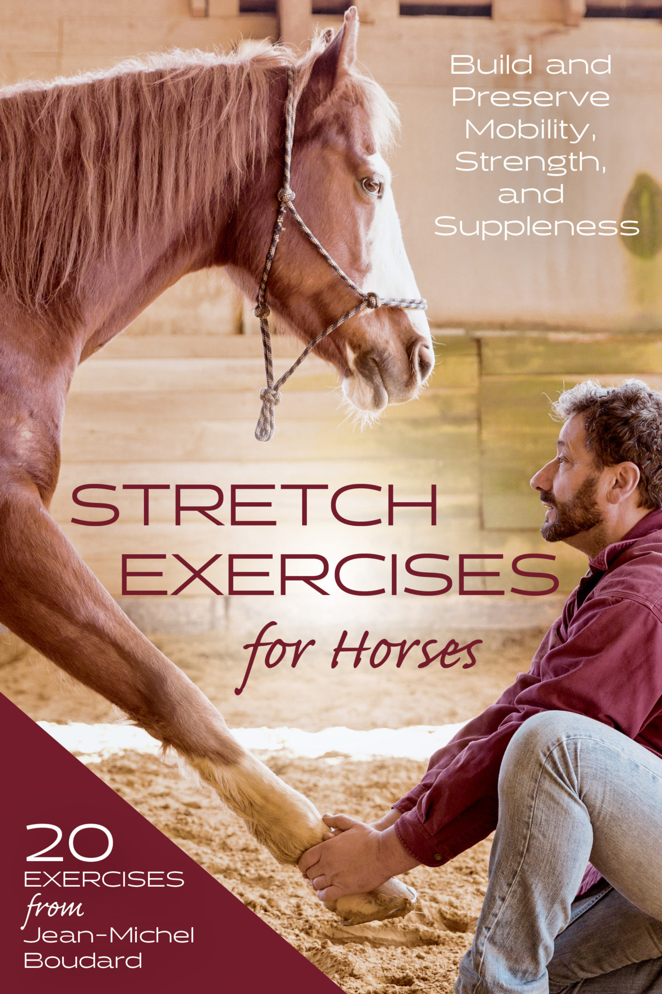 Stretch Exercises for Horses Quiller Publishing