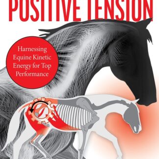 The Horse in Positive Tension