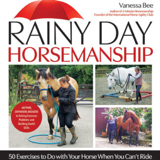 Rainy Day Horsemanship