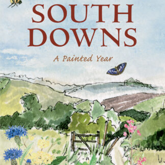 The South Downs