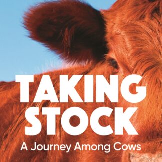 Taking Stock